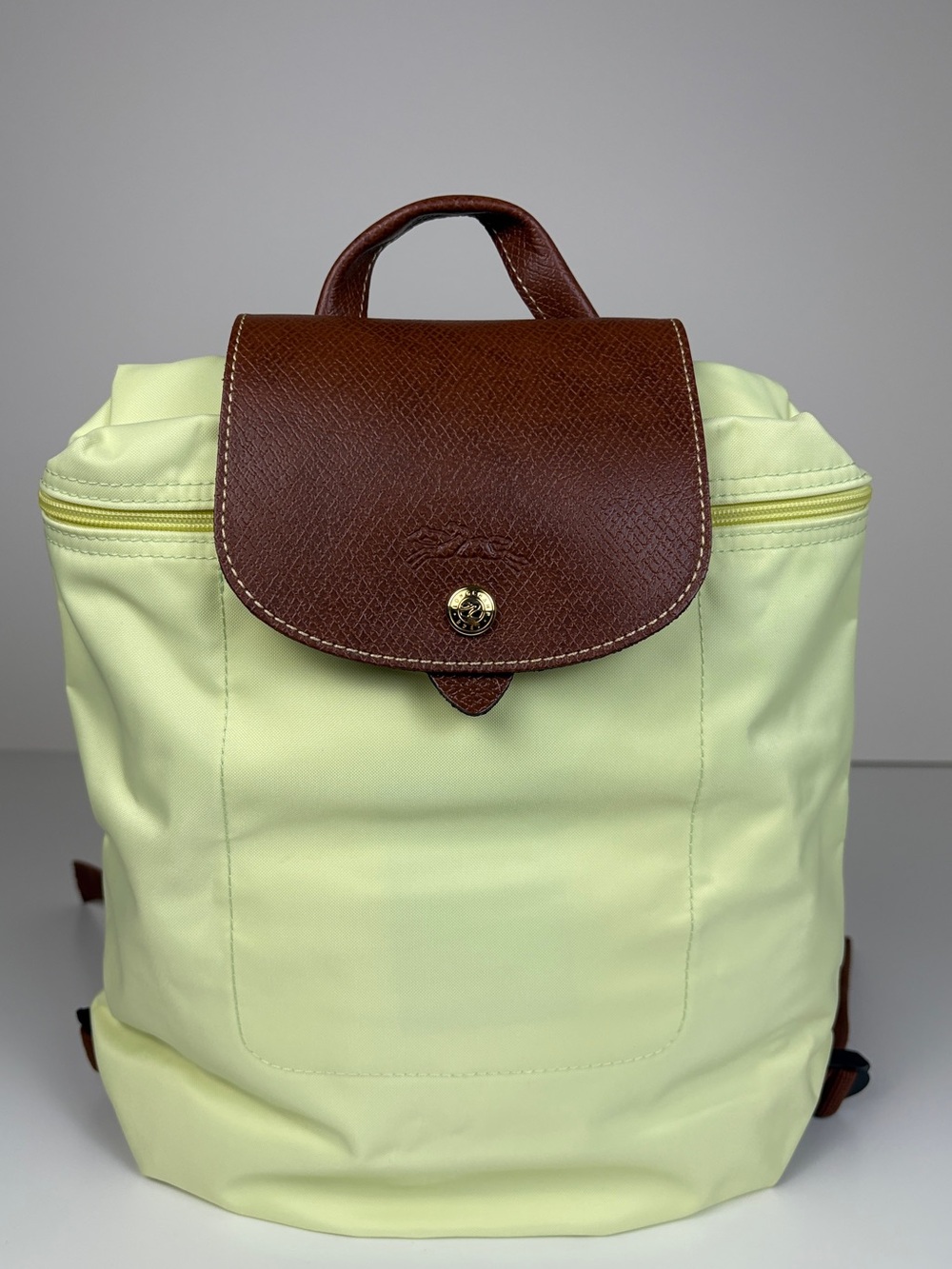 Longchamp Le Pliage Sac à Dos Anise Nylon Backpack